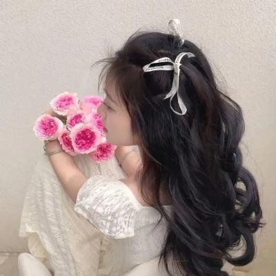 屋顶上的轻骑兵封面